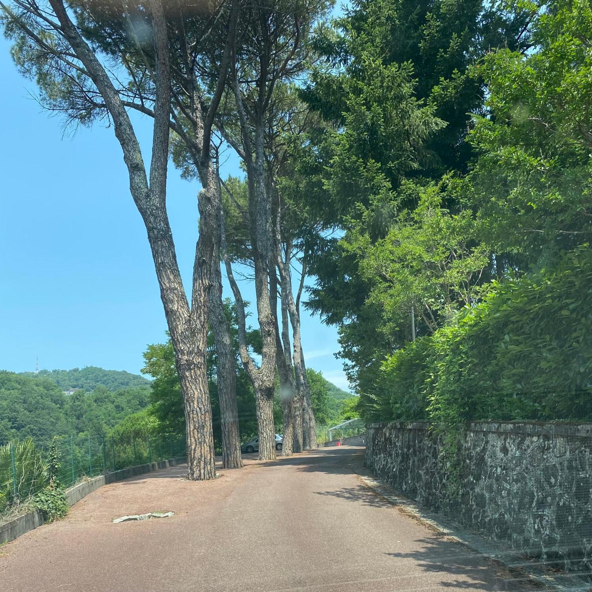 Appartamento Le Foglie Di Lubo Aulla Esterno foto